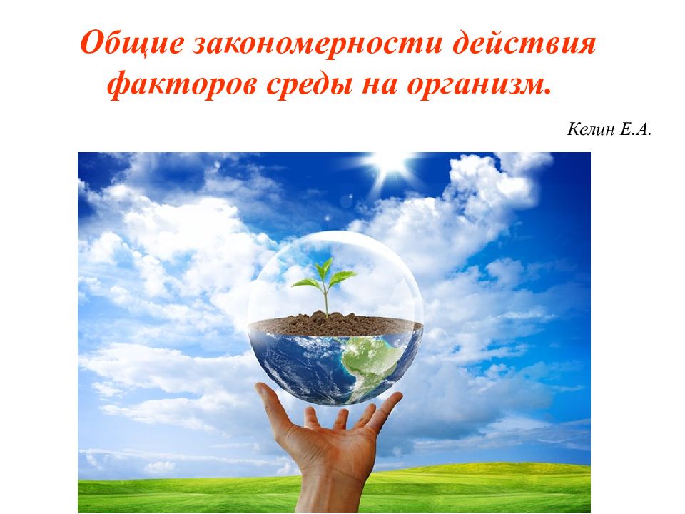 Общие закономерности действия факторов среды на организм.