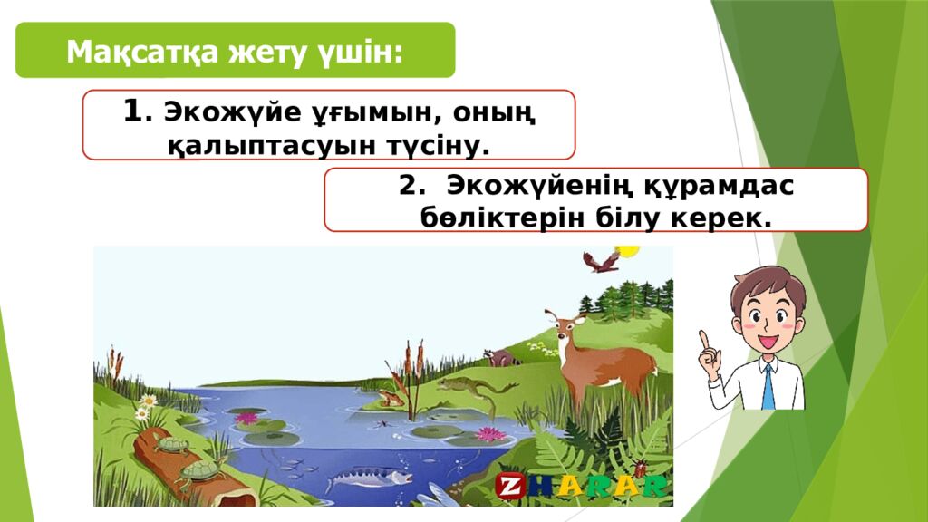 Сабақтың тақырыбы: Экожүйелер Мақсаты: 5.6.1.1 – экожүйенің құрамдас бөліктерін