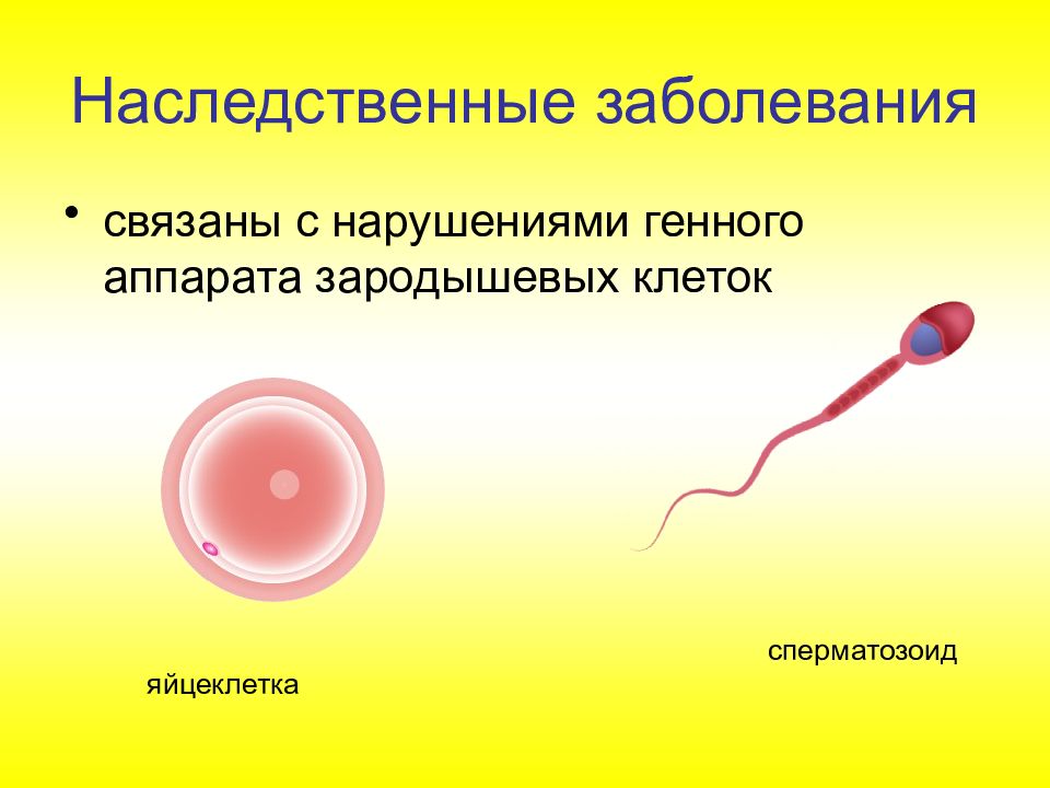 Презентация на тему врожденные заболевания