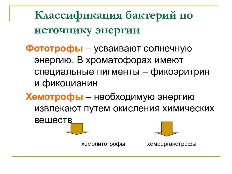 Фототрофы. Классификация бактерий по источнику энергии. Источник энергии бактерий. Основной источник энергии бактерий. Классификация микроорганизмов по источнику энергии.