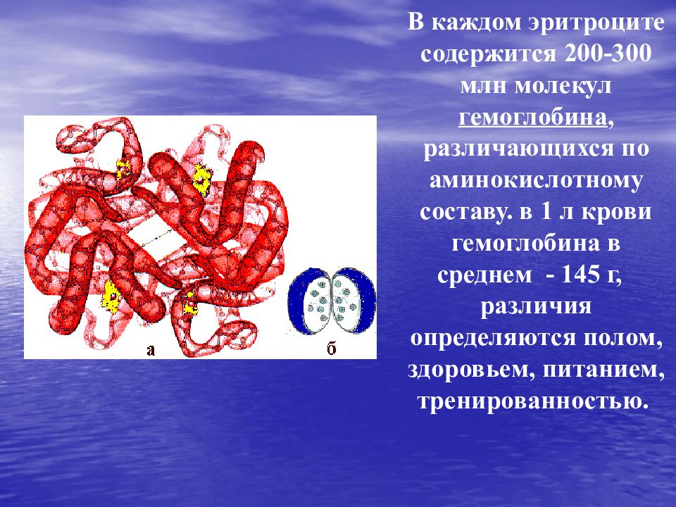 Сколько хромосом содержит эритроцит собаки. Гемоглобин. Гемоглобин 200. Молекула гемоглобина для презентации. Молекула гемоглобина и звезда Руси.