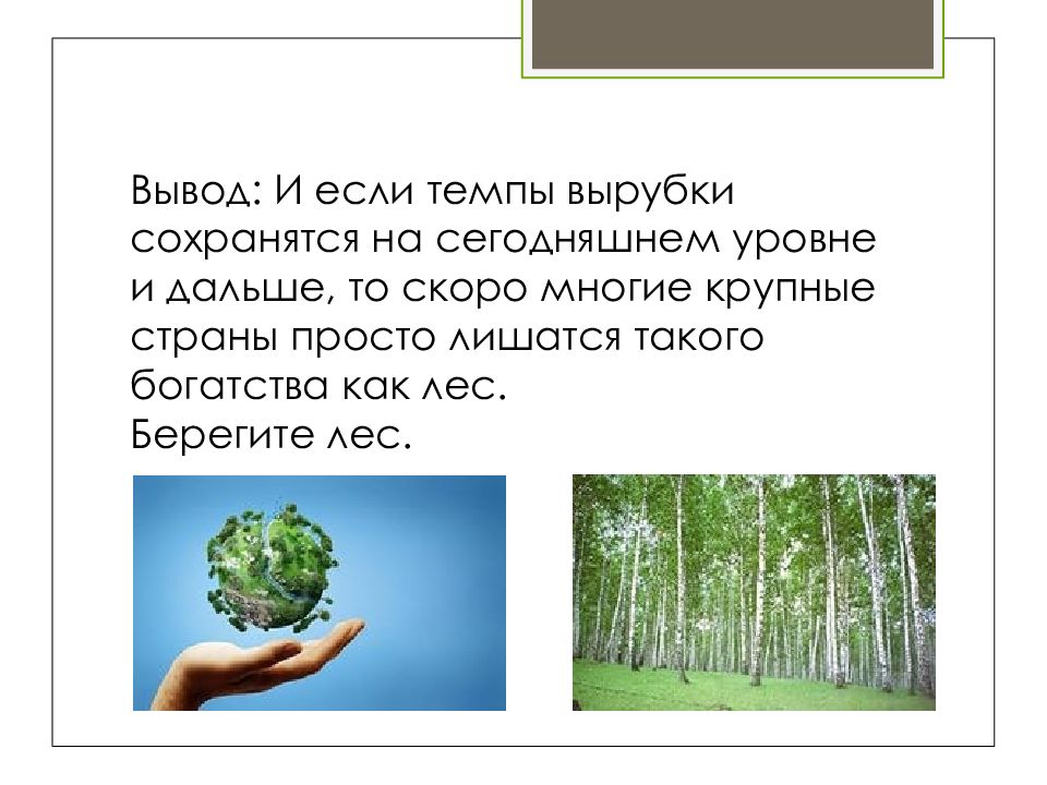 Вывел леса. Экология леса презентация. Сообщение на тему экология леса. Экология леса проект. Презентация вырубка лесов экологическая проблема.