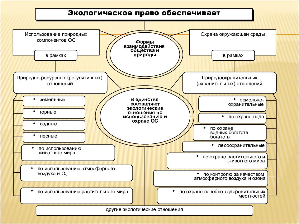 План по обществу экологическое право