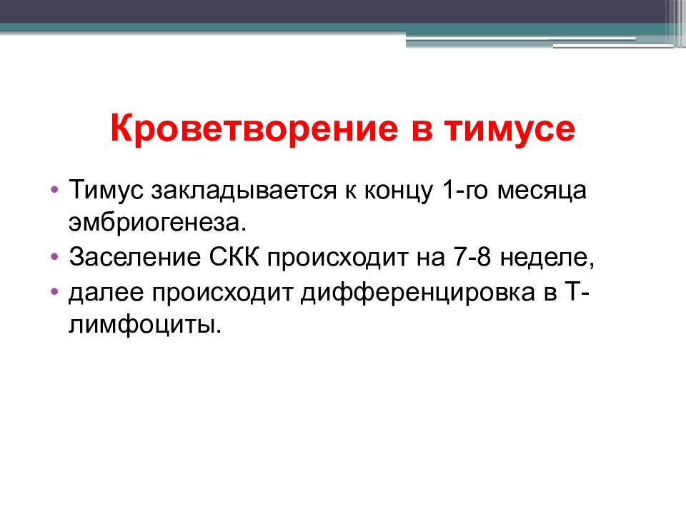 Происходящего далее. Тимус закладывается. Лимфопоэз в тимусе. Лимфопоэз в тимусе происходит. Тимус закладывается на 2 месяце эмбриогенеза.