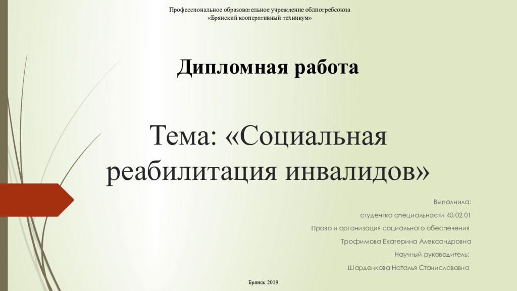 Тема : «Социальная реабилитация инвалидов»