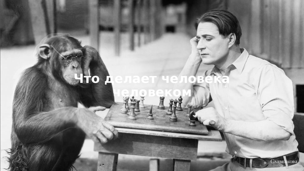Что делает человека человеком