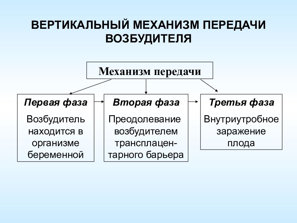 Вертикальный путь передачи. Вертикальный путь передачи инфекции это. Вертикальный механизм передачи. Вертикальный механизм передачи возбудителя. Вертикальный механизм передачи инфекции.