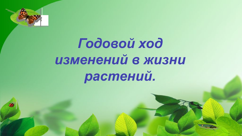 Годовой ход изменений в жизни растений.
