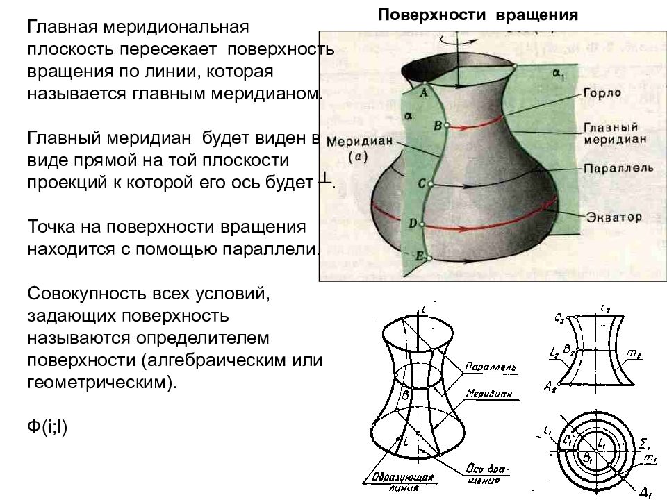 Найти поверхность вращения. Главный Меридиан поверхности вращения. Мерионедьная плоскость. Основные элементы поверхности вращения. Главный медиан поверхности вращения.