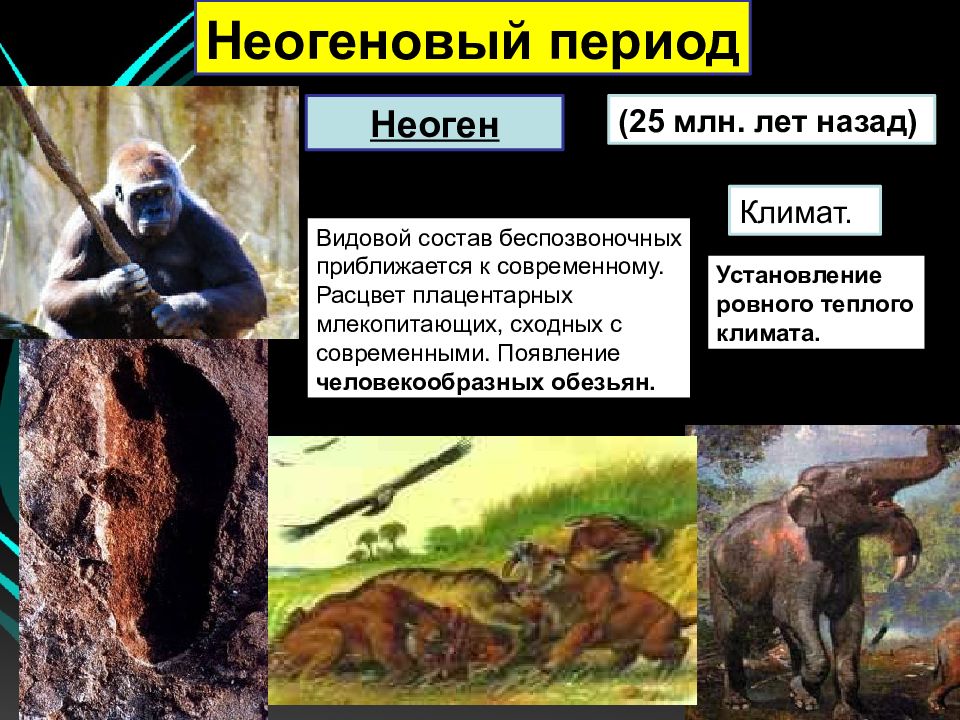 Неогеновый период презентация