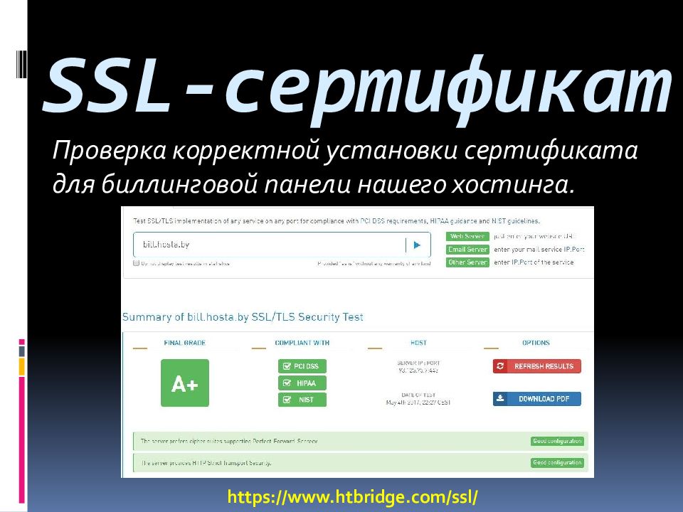 Проверка корректности работы. День хостинг-провайдера. Хостинг провайдер.