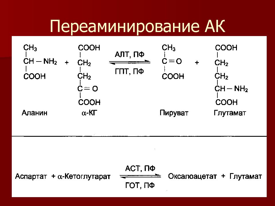 Реакция катализируемая алт. Трансаминирования Альфа-аланина. Трансаминирования аспартата. Переаминирование аминокислот трансаминирование. Реакции трансаминирования Альфа-аланина.