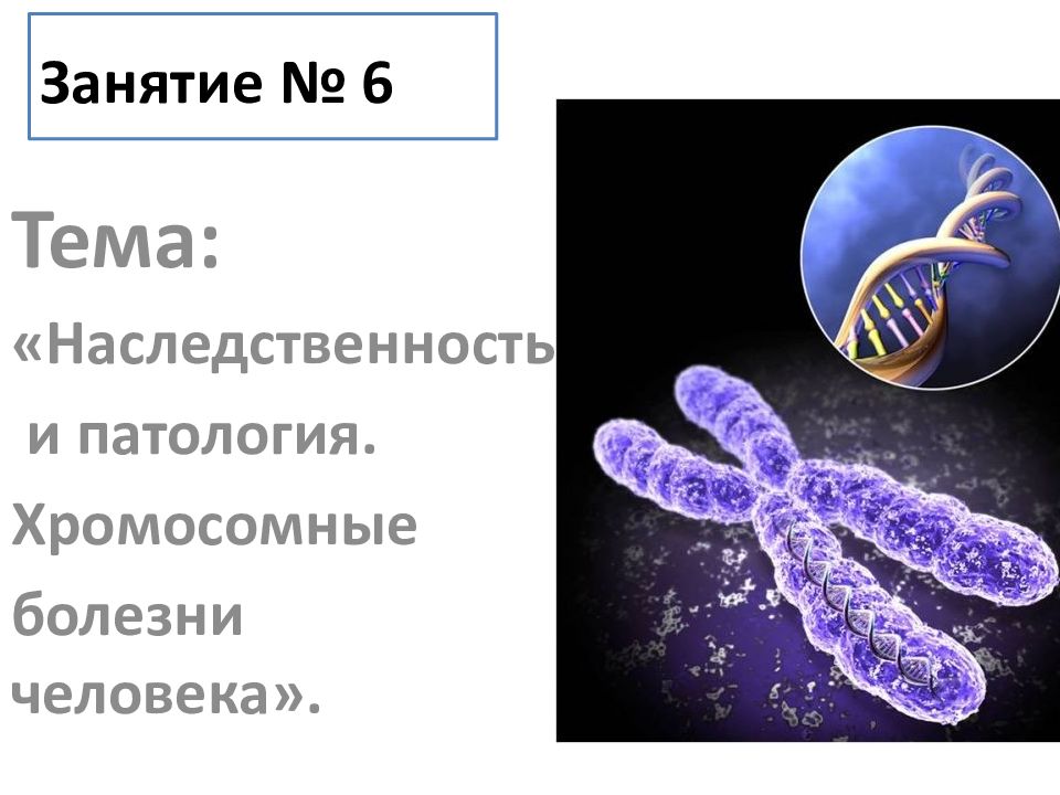 Занятие № 6