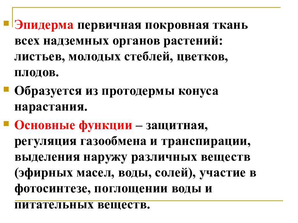 Покровная ткань с устьицами. Кутикула у растений это ткань. Функция верхней эпидермы. Строение ткани покровной таблица. Покровная ткань строение и функции.
