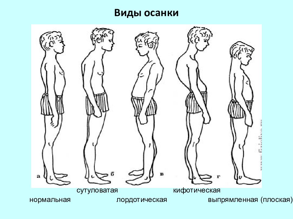 Оценка физического развития подростков презентация