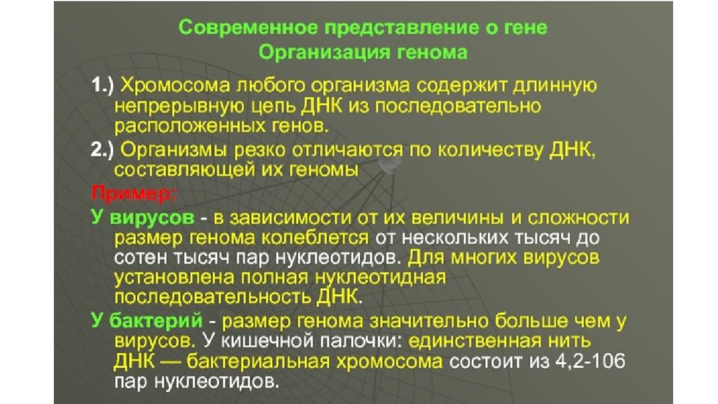 Современное представление о гене схема