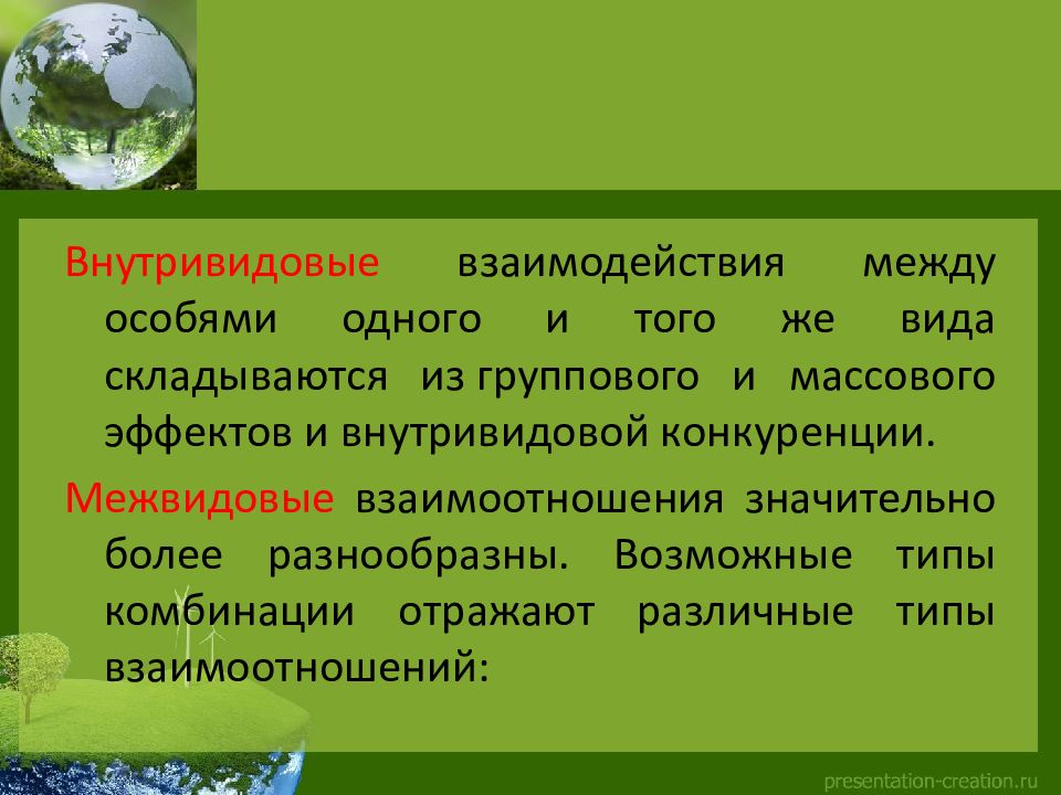 Биотические факторы среды взаимоотношения между организмами презентация 9 класс