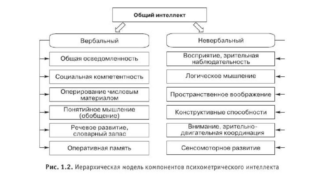 Вербальный интеллект включает