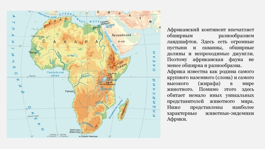 Проект по окружающему миру 2 класс африка