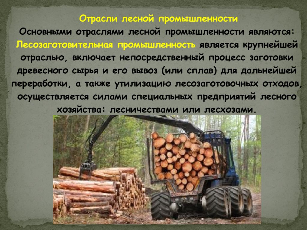 Экономика в лесной отрасли. Лесная промышленность. Лесная и деревообрабатывающая отрасли. Сырье Лесной и деревообрабатывающей промышленности. Лесная промышленность презентация.