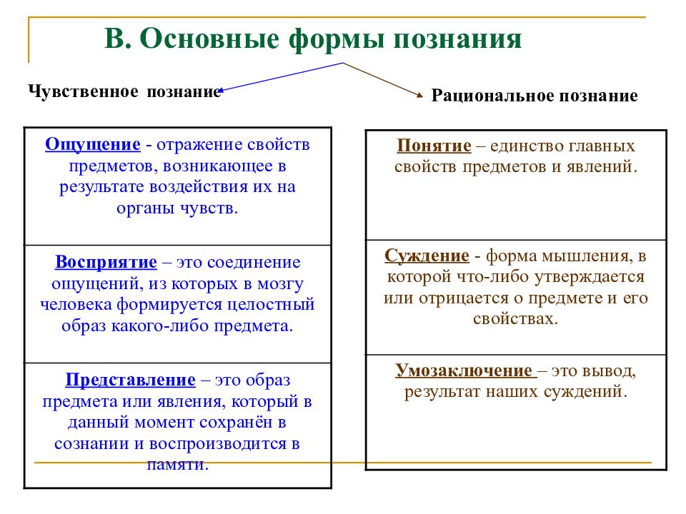 Обществознание 6 класс кратко. Что такое познание в обществознании 6 класс. Обществознание определение.