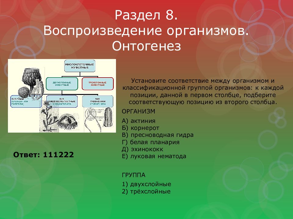 Раздел 8. Воспроизведение организмов. Онтогенез