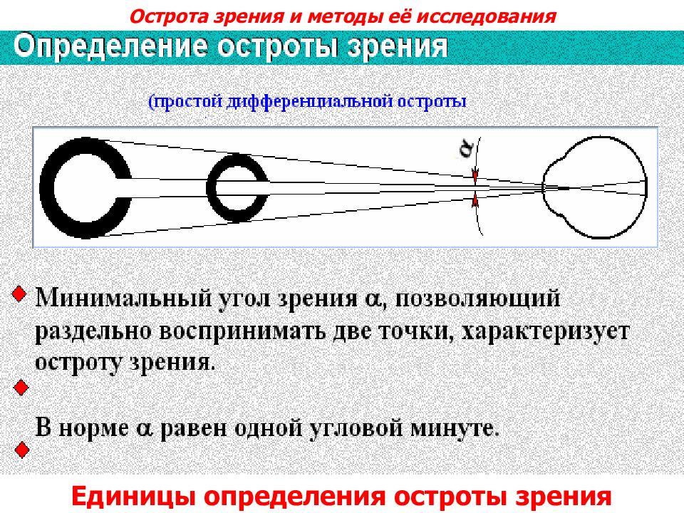 Острота зрения больше при фокусировке изображения