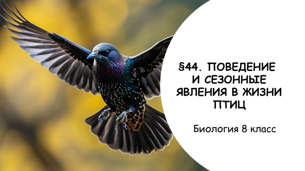 44. ПОВЕДЕНИЕ И СЕЗОННЫЕ ЯВЛЕНИЯ В ЖИЗНИ ПТИЦ Биология 8 класс