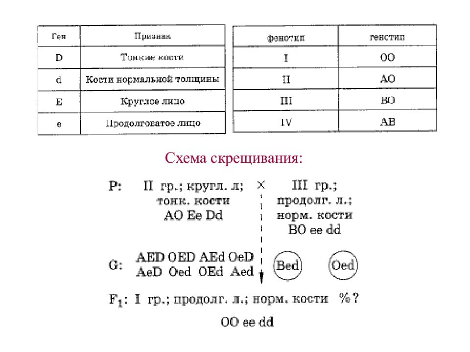 Тесты по генетике с ответами. Схема решения задач по генетике. Группы крови задачи по генетике. Решение задач по генетике презентация. Вопросы для теста по генетике и ответы.