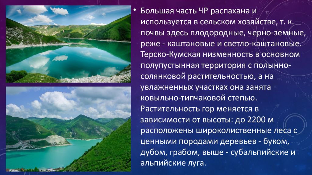 Природные особенности. Запрудные озера. Минеральные подземные воды. Минеральные воды это подземные воды. Подземные Минеральные и пресные воды.