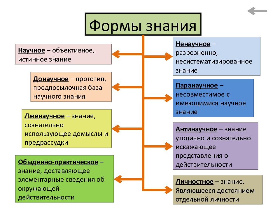 План формы познания