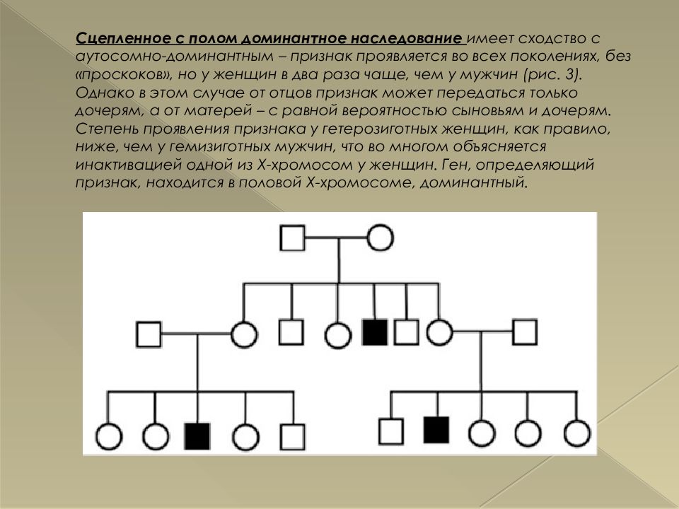 Доминантный аутосомный признак