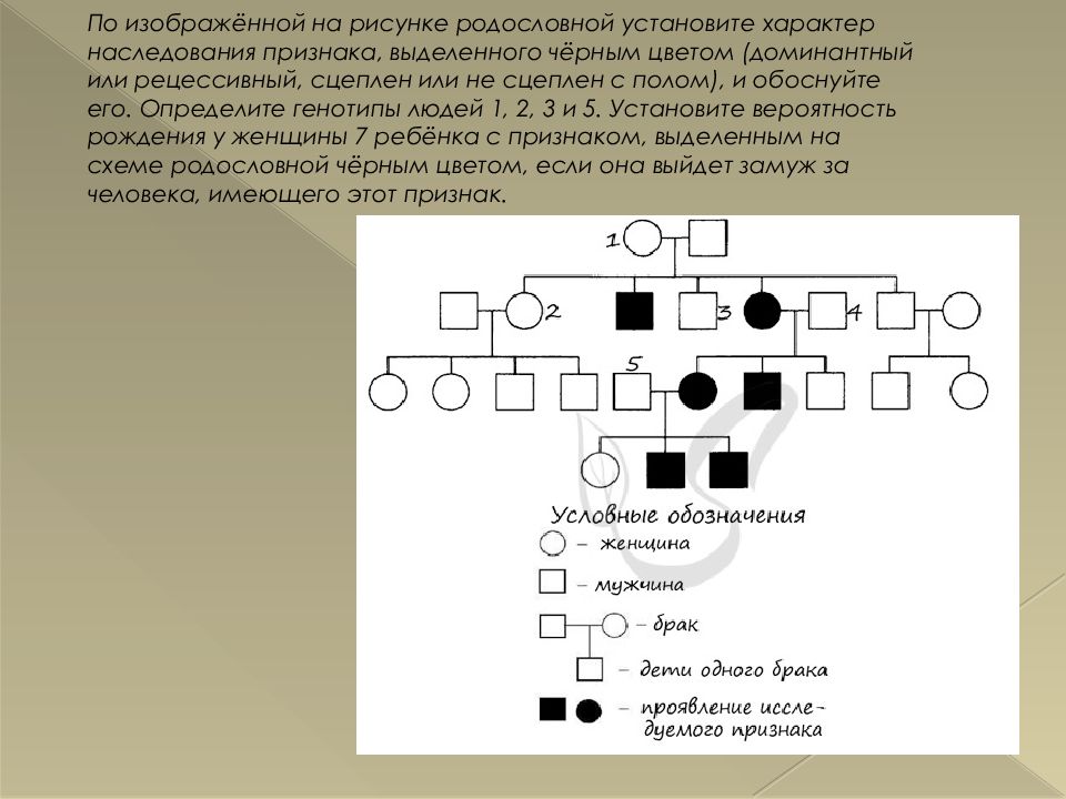 По изображенной на рисунке родословной. Метод составления родословных генеалогический. Генотипы в родословной. Генеалогический метод иллюстрации. Анализ родословной по изображённой на рисунке.