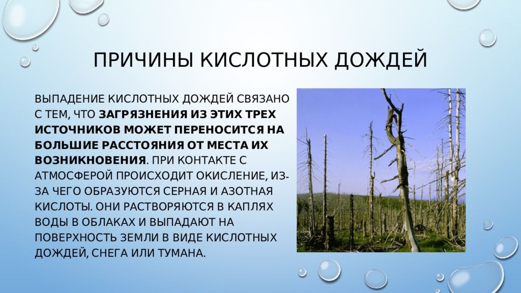 Объясните какой вред растениям наносят кислотные дожди. Последствия кислотных дождей в природе. Кислотные осадки причины. Причины возникновения кислотных дождей. Отрицательные последствия кислотных дождей.