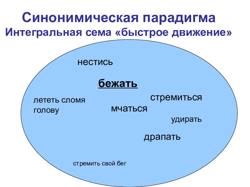 Синонимическая доминанта