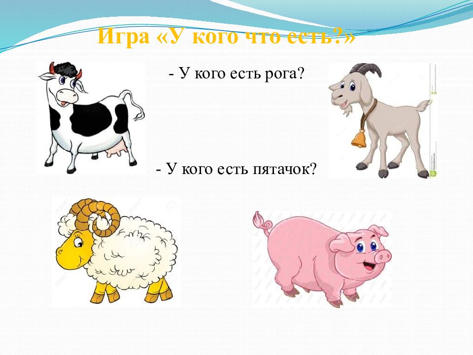 Домашние животные презентация для дошкольников. Загадки домашних животных пятак есть и ничего не купить.