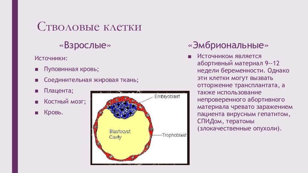 Зрелые клетки. Стволовые клетки жировой ткани. Стволовые клетки абортивный материал. Стволовые клетки пуповинной ткани. Плацента для костного мозга.