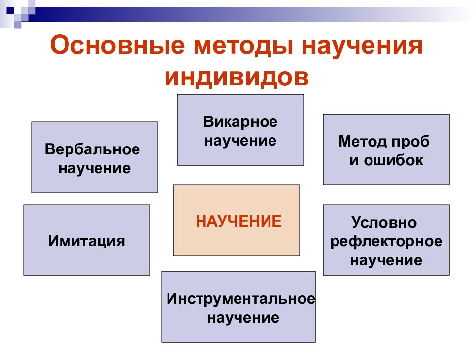 Научение это. Способы научения. Метод научения. Методы оперантного научения. Виды научения.