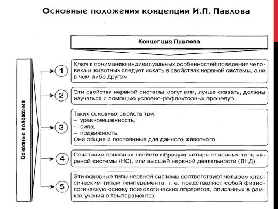 Структура личности темперамент характер. Важнейшие свойства личности. Свойства личности ck3.