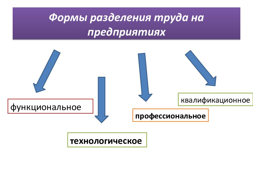 Профессиональная функциональная. Виды разделения труда. Формы разделения труда на предприятии. Эвтды разделения труда. Формы организации труда на предприятии.