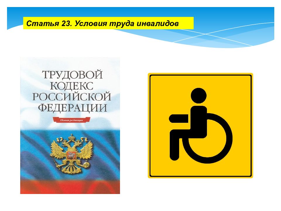 Социальная защита инвалидов 2021. Социальная защита инвалидов в Российской Федерации. Защита инвалидов. Социальная защита инвалидов справка. Досудебная форма защиты инвалидов.