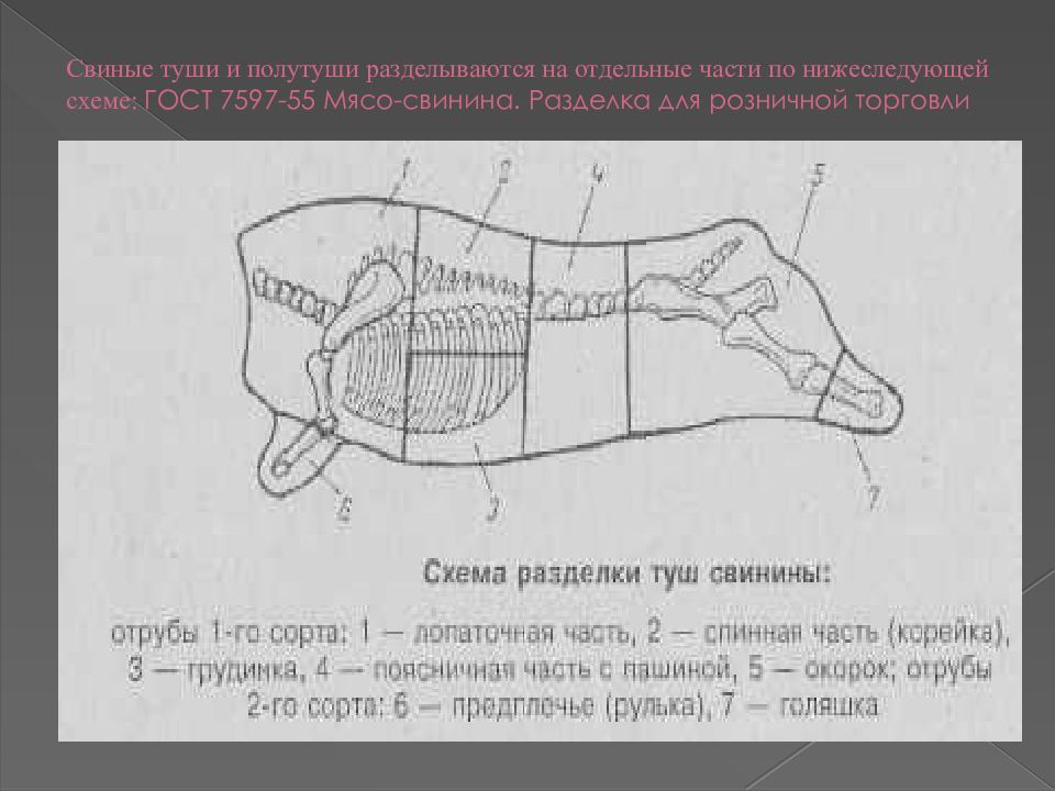 Части свиных туш. Схема разрубки полутуши свиньи. Схема сортовой разрубки свиней. Схема разделки полутуши свиньи. Схема разрубки свиной туши.