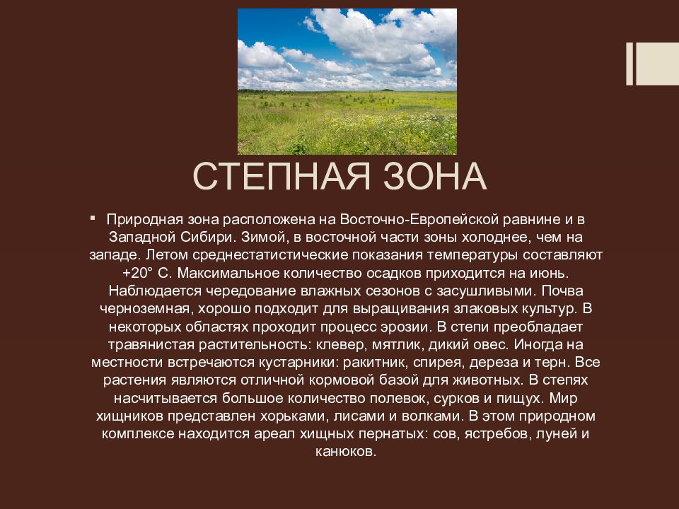 Степная зона сообщение. Природные зоны России презентация. Природные зоны России рассказ. Сообщение природные зоны России.