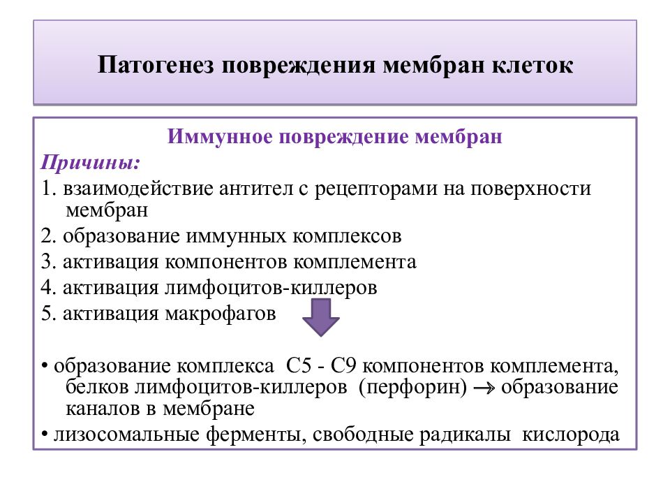 Нарушения клеток. Патогенез повреждения мембран клеток. Патогенез повреждения клетки. Этиология повреждения клетки. Основные патологические механизмы повреждения клетки.