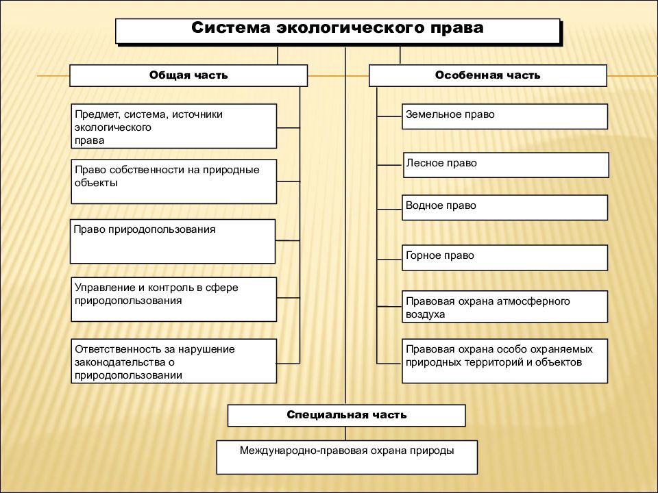 Экологическое право план развернутый