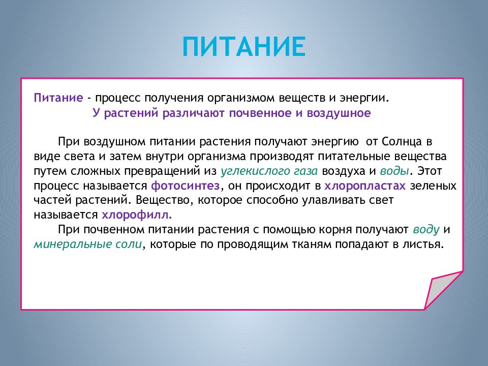 В этом процессе получают. Процессы жизнедеятельности. Жизнедеятельность организмов. Сообщение на тему жизнедеятельность организмов. Процессы жизнедеятельности организмов 5 класс.