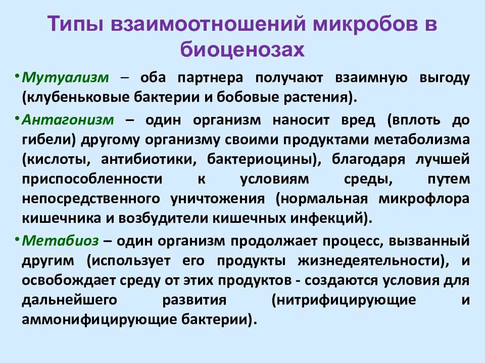 Формы взаимоотношений микроорганизмов