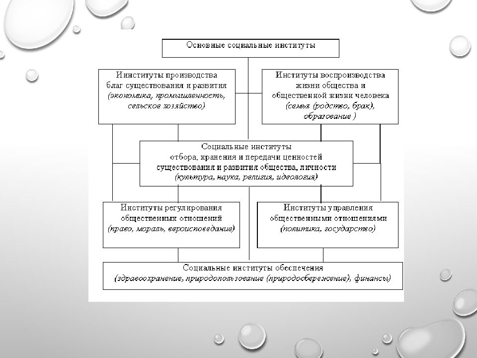 Социология в понимании социального мира презентация