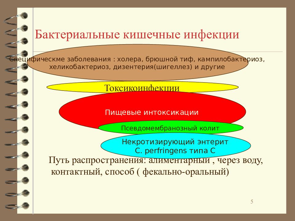 Бактериальная кишечная. Бактериальные кишечные инфекции. Возбудители бактериальных кишечных инфекций. Возбудители бактериальных кишечных инфекций микробиология. Бактериальные кишечные инфекции микробиология.