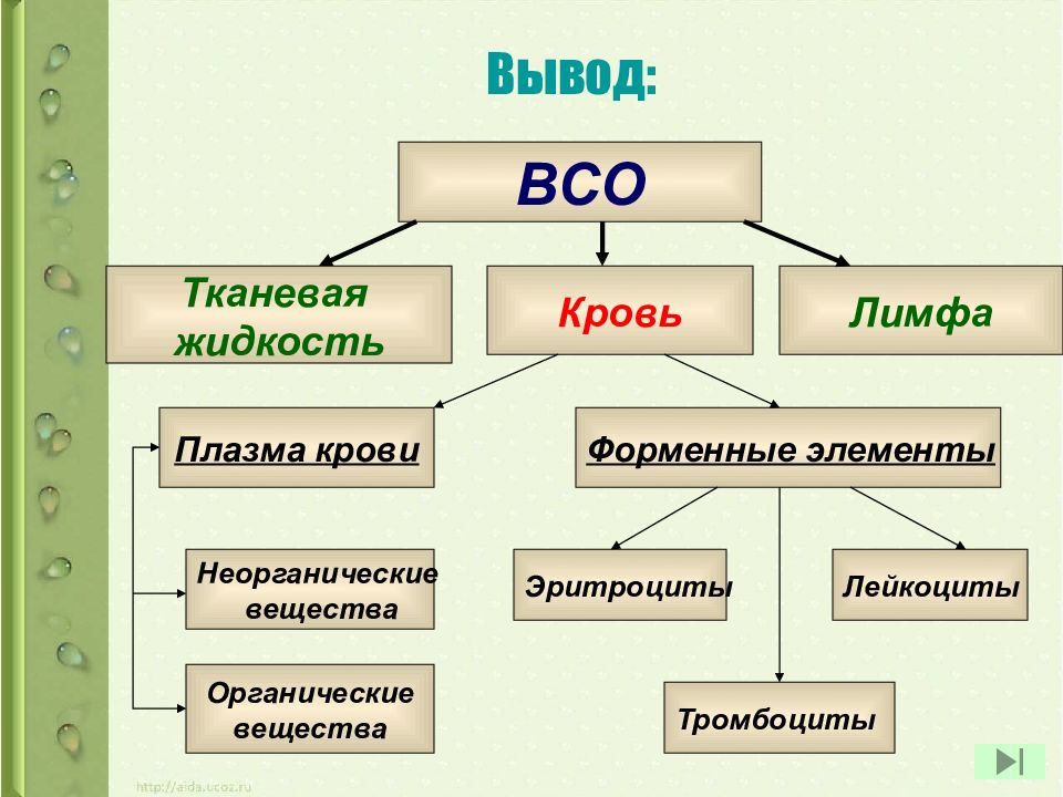 Внутренняя среда организма 9 класс